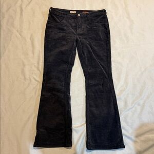 Pilcro Midnight Black Flare Pants